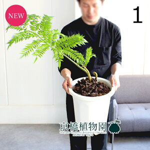 yizEr^C/riV_j@10i1jyϗtA/CeA//i`/A/蕨/yV/ʔ/[WTCY/^/ڔ//zCg/A/ʌ/ēׁz