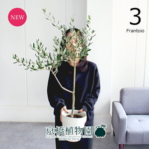 yubNtCf[N[|LIzyizI[u@6i3jtgCI@yϗtA/CeA//i`/A/蕨/yV/ʔ/~hTCY/zCg/Ă₷