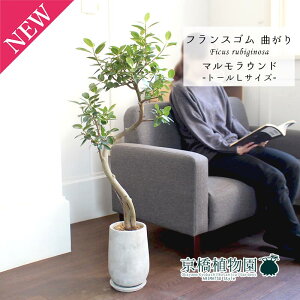 y1P7{Izy}EhEg[LTCYztXS@Ȃy󂯎Mtzyȃ^zyX^CbVz