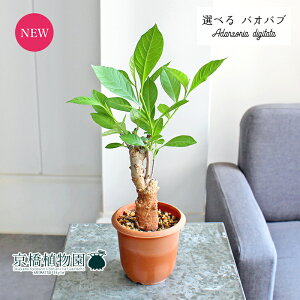 y}\N[|LIzyizoIouEfBM^[^@3.5@i6`10jyIׂϗtAzyϗtA/CeA//i`/A/蕨/yV/ʔ/X[TCY/