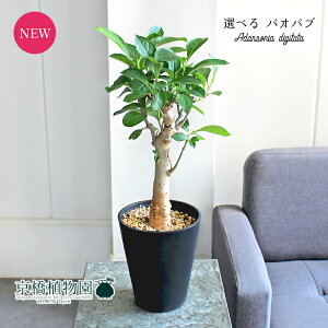 yizoIouEfBM^[^@5@i1`4jyIׂϗtAzyϗtA/CeA//i`/A/蕨/yV/ʔ/X[TCY/ubN/lCi/A/