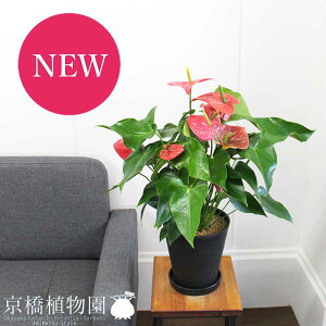 ySSN[|zySSizAXE@6y~hTCY/CeA/j/JXj/zj/Vzj/Mtg/v[g/Ă₷/ϗtA/yV/ʔ/Ԕz