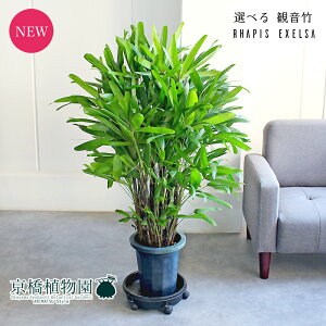 yizω|iJm`Nj@8@iA`CjyIׂϗtAzyϗtA/CeA//i`/A/蕨/yV/ʔ/~hTCY/^/lCr[/Ă₷/S