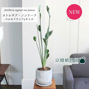 y25P5{IzyubNtCf[N[|LIzy}EhLTCYzXg`A/Xg`AEm[tiPAjy󂯎Mtzyȃ^zyX^C