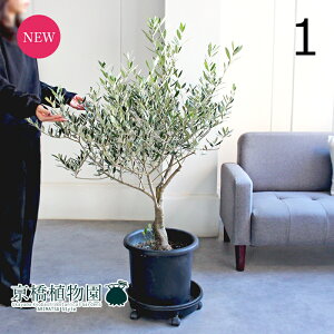 yizI[u@Ö؁@~bV@10@i1jyϗtA/CeA//i`/A/蕨/yV/ʔ/[WTCY/^/ubN/Ă₷/S/lCiz