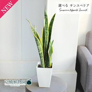 y25P5{IzyubNtCf[N[|LIzyizTXxAE[`@4@pi1`5jyϗtA/CeA//i`/A/蕨/yV/ʔ/X[