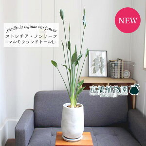 y30P5{Izy}Ehg[LTCYzXg`A/Xg`AEm[tiPAjy󂯎Mtzyȃ^zyX^CbVz