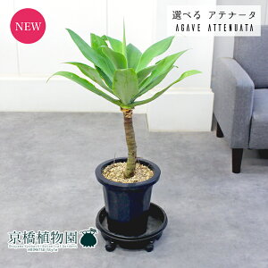 y}\N[|LIzyizAKxEAei[^@8@yIׂϗtAzyϗtA/CeA//i`/A/蕨/yV/ʔ/~hTCY/ubN/lC