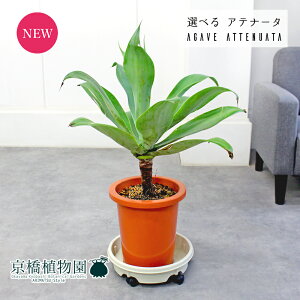 y1P7{IzyizAKxEAei[^@8@iA`BjyIׂϗtAzyϗtA/CeA//i`/A/蕨/yV/ʔ/~hTCY/uE/lCiz