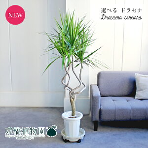 y5P5{IzySSN[|zyizhZiERVl@gh@8@yIׂϗtAzyϗtA/CeA//i`/A/蕨/yV/ʔ/~hTC