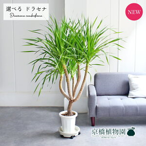 y1P7{IzyizhZiEJ{WA[i@8@yIׂϗtAzyϗtA/CeA//i`/A/蕨/yV/ʔ/[WTCY/ڔ/^/zCg/