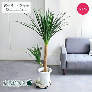 y1P7{IzyizhZiEJ{WA[i@8@1{@yIׂϗtAzyϗtA/CeA//i`/A/蕨/yV/ʔ/[WTCY/ڔ/^/z