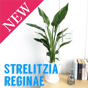 y25P5{IzyubNtCf[N[|LIzXg`A/Xg`AEMl@6yZA[gzyϗtA/CeA//i`/A/蕨/yV/ʔ/~h