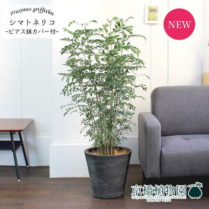 y30P5{IzV}glR7yrAXJo[t/ubNzy~hTCY/CeA/j/JXj/zj/Vzj/Mtg/v[g/Ă₷/ϗtA/yV/ʔ/^z