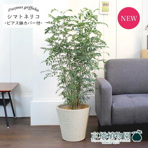 y30P5{IzV}glR7yrAXJo[t/zCgzy~hTCY/CeA/j/JXj/zj/Vzj/Mtg/v[g/Ă₷/ϗtA/yV/ʔ/^z