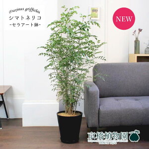 y30P5{IzV}glR@8yZA[g/󂯎MtzyubNzy~hTCYz