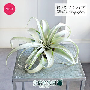 y30P5{Izy}\N[|LzyizGAvc@`WAELZOtBJyIׂϗtAzyϗtA/CeA//i`/蕨/yV/ʔ/Ă₷