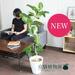 tBJX@xKVX@8@Ȃ@y~hTCYz