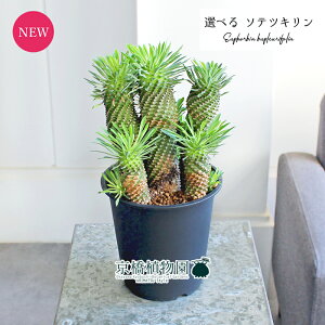 y1P7{Izyiz[tHrAE\ecL@5@i1`5jyIׂϗtAzyϗtA/CeA//i`/A/蕨/yV/ʔ/X[TCY/ub