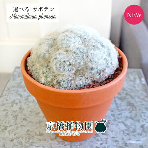 yizT{e@}~AEvT/@4.5yIׂϗtAzyϗtA/CeA//i`/A/蕨/yV/ʔ/X[TCY//uE/Ă₷/