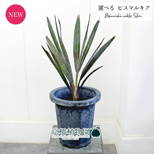 yizrX}LAEmrX@Vo[@8yIׂϗtAzyϗtA/CeA//i`/A/蕨/yV/ʔ/~hTCY/^//zCg//lCr[/