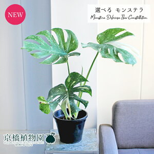 y25P5{IzyubNtCf[N[|LIzyizXeE^CRXe[V@6@yIׂϗtAzyϗtA/CeA//i`/A/