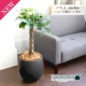 pL7yo[Jo[t/AeB[NuEzy~hTCY/CeA/j/JXj/zj/Vzj/Mtg/v[g/Ă₷/ϗtA/yV/ʔ/^z