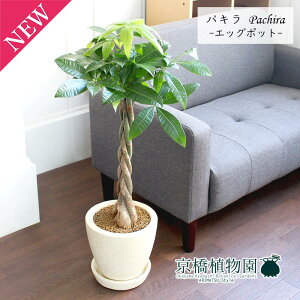 y25P5{IzyubNtCf[N[|LIzyGbO|bg/AC{[zpLy󂯎MtzyՂ肽܂^̔zy̓ Mtgz