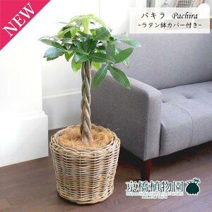 pL@7y^Jo[tzy~hTCY/CeA/j/JXj/zj/Vzj/Mtg/v[g/Ă₷/ϗtA/yV/ʔ/^z