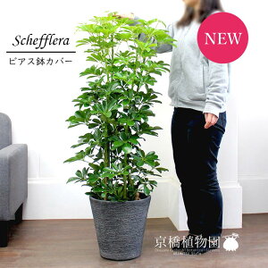 y30P5{IzVFt@O[@8yrAXJo[/ubNzyzRJ|bNzy~hTCYz