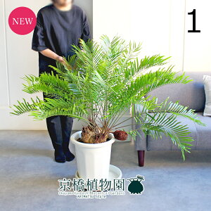 y1P7{IzyizU~AEt_[i@@10@i1jyϗtA/CeA//i`/A/蕨/yV/ʔ/[WTCY/ڔ/^/zCg/A/