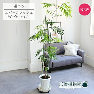 y1P7{IzyizlmL/Go[tbV@Ȃ@8@yIׂϗtAzyϗtA/CeA//i`/A/蕨/yV/ʔ/~hTCY/^/Ύ/