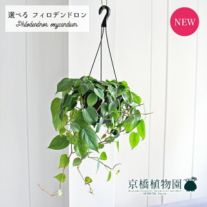 y}\N[|LIzyiztBfhEILVJW[@7@݂艺yIׂϗtAzyϗtA/CeA//i`/A/蕨/yV/ʔ/~h