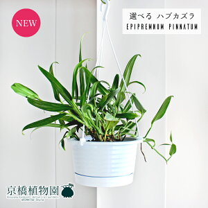 y}\N[|LIzyiznuJY@6@݂艺yIׂϗtAzyϗtA/CeA//i`/A/蕨/yV/ʔ/~hTCY//zCg/Ă₷