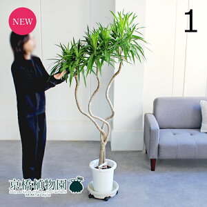 y}\N[|LIzyizhZiEir[@""@8@i1jyϗtA/CeA//i`/A/蕨/yV/ʔ/~hTCY/^/zCg/A/