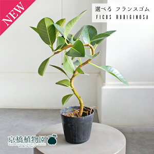 yiztXS@Ȃ@3.5|bgi1`5jyIׂϗtAzyϗtA/CeA//i`/A/蕨/yV/ʔ/X[TCY//ubN/Ă₷/S