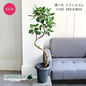 yubNtCf[N[|LIzyiztXS@Ȃ@6@i1`5jyIׂϗtAzyϗtA/CeA//i`/A/蕨/yV/ʔ/~hT