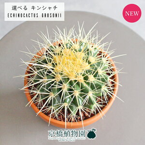 yizT{e ́iLV`j@3.5@i6`10jyIׂϗtAzyϗtA/CeA//i`/A/蕨/yV/ʔ/X[TCY/~j//uE/