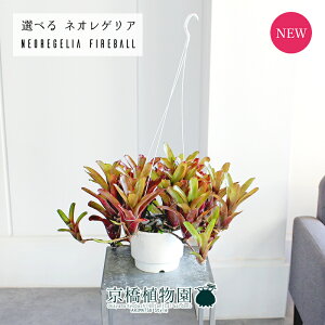 y30P5{IzyizlIQA/lIQAEt@C[{[@5@@݂艺yIׂϗtAzyϗtA/CeA//i`/A/蕨/yV/ʔ/X