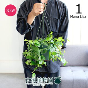 y30P5{IzyizGXLiTX@5i1jiU@Δ@݂艺yϗtA/CeA//i`/A/蕨/yV/ʔ/X[TCY/O[//