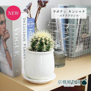 y25P5{IzyubNtCf[N[|LIzyXeEhSzT{e ́iLV`jy󂯎Mtz3.5GyϗtA@CeA  lC zj JXj Vz