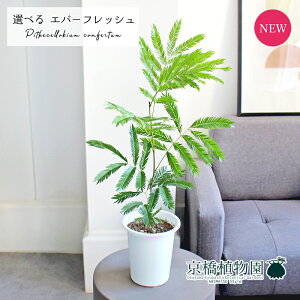 y1P7{IzyizlmL/Go[tbV@4@i6`10jyIׂϗtAzyϗtA/CeA//i`/A/蕨/yV/ʔ/X[TCY/zCg/