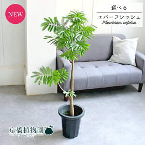 y30P5{IzyizlmL/Go[tbV@8@yIׂϗtAzyϗtA/CeA//i`/A/蕨/yV/ʔ/~hTCY/^/ubN/