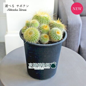 y1P7{IzyizT{e@mgJN^X@V[@Q@4@i1`5jyIׂϗtAzyϗtA/CeA//i`/A/蕨/yV/ʔ/X[T