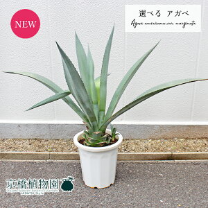 yizAKxEAImE[c@10iA`CjyIׂϗtAzyϗtA/CeA//i`/A/蕨/yV/ʔ/[WTCY//zCg/Ă₷/