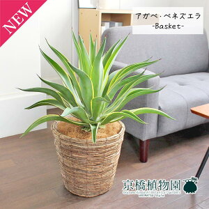 y30P5{IzAKxExlYG 8yoXPbgJo[t/uEzy~hTCYz