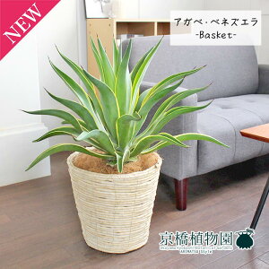 y1P7{IzAKxExlYG 8yoXPbgJo[t/AC{[zy~hTCYz