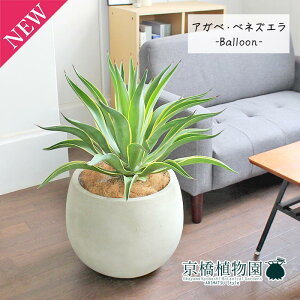 y1P7{IzAKxExlYG 8yo[Jo[t/AeB[NzCgzy~hTCYz