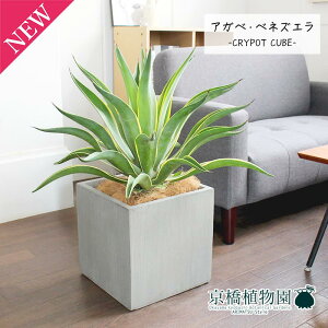 y1P7{IzAKxExlYG 8yNC|bgL[uJo[t/O[zy~hTCYz