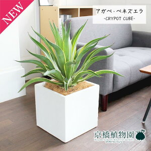 y5P5{IzySSN[|zySSizAKxExlYG 8yNC|bgL[uJo[t/zCgzy~hTCYz